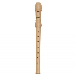 child-wooden-recorder-music-kids_83_general